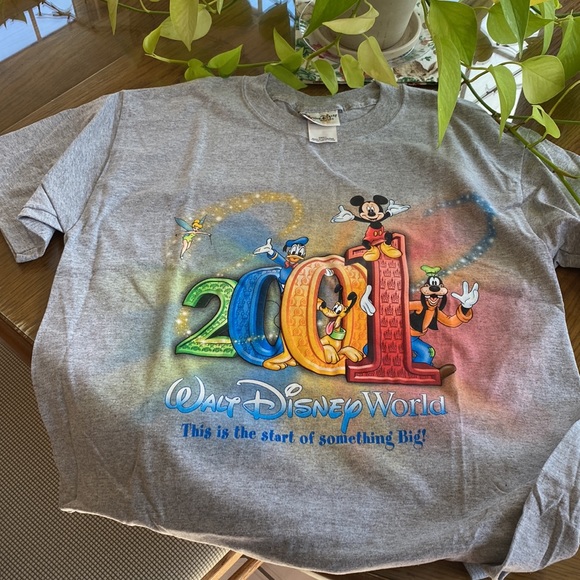 Walt Disney World t-shirt   (not worn) - Picture 6 of 8